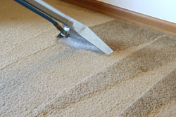 carpet cleaning